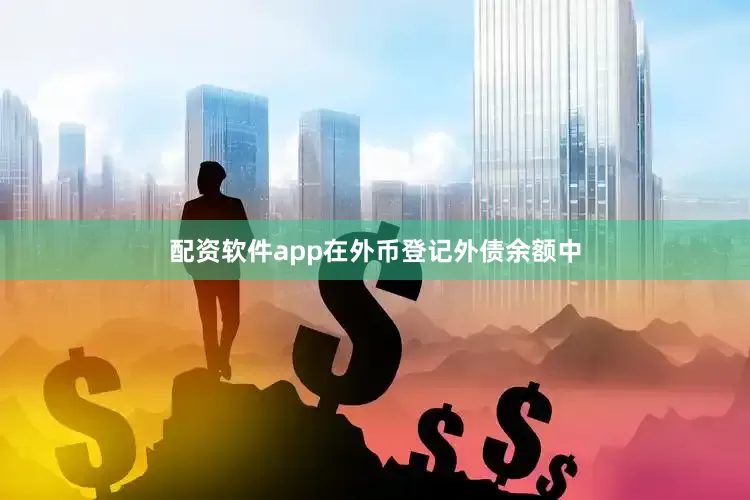 配资软件app在外币登记外债余额中
