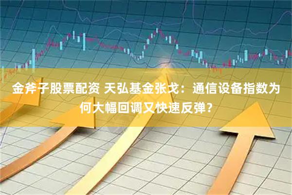 金斧子股票配资 天弘基金张戈：通信设备指数为何大幅回调又快速反弹？