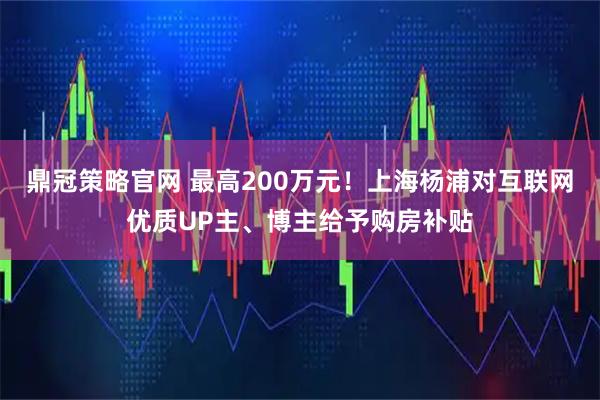 鼎冠策略官网 最高200万元！上海杨浦对互联网优质UP主、博主给予购房补贴